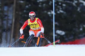 SPORT INVERNALI - Sci Alpino - AUDI FIS Ski World Cup - Slalom - Men