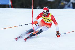 SPORT INVERNALI - Sci Alpino - AUDI FIS Ski World Cup - Slalom - Men