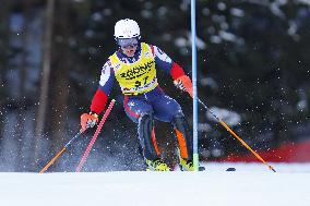 SPORT INVERNALI - Sci Alpino - AUDI FIS Ski World Cup - Slalom - Men