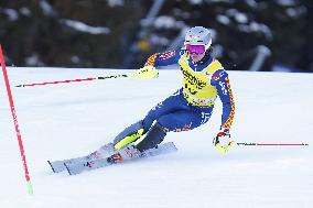 SPORT INVERNALI - Sci Alpino - AUDI FIS Ski World Cup - Slalom - Men