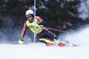 SPORT INVERNALI - Sci Alpino - AUDI FIS Ski World Cup - Slalom - Men