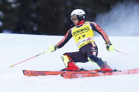 SPORT INVERNALI - Sci Alpino - AUDI FIS Ski World Cup - Slalom - Men