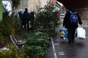 Daily Life And Economy In Krakow Before Christmas