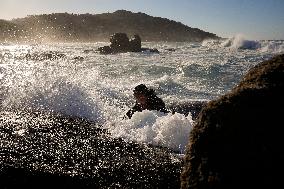 Barnacles In Baiona During The Christmas Campaign - Spain