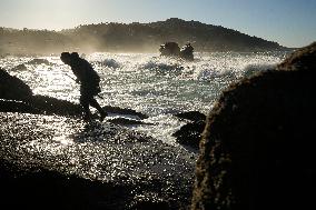 Barnacles In Baiona During The Christmas Campaign - Spain