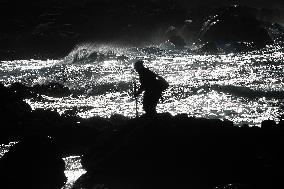 Barnacles In Baiona During The Christmas Campaign - Spain