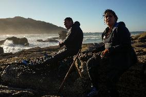 Barnacles In Baiona During The Christmas Campaign - Spain