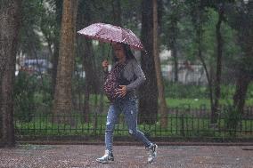 Rainy Day In Sao Paulo