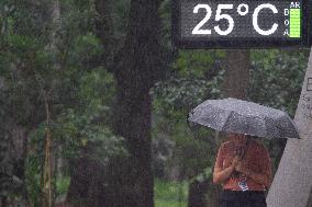 Rainy Day In Sao Paulo