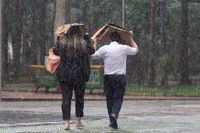 Rainy Day In Sao Paulo