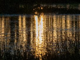 Sunrise At The Oxbow Nature Conservancy