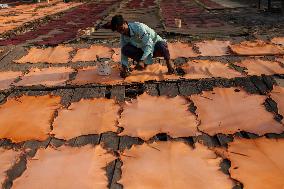 Tannery Industry In Bangladesh