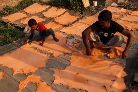 Tannery Industry In Bangladesh