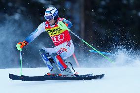 Audi FIS Alpine Ski World Cup - Men's Slalom