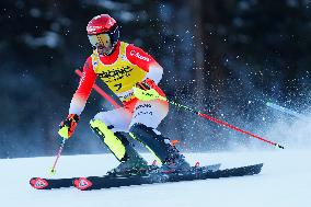 Audi FIS Alpine Ski World Cup - Men's Slalom