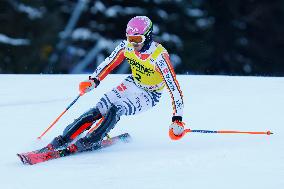 Audi FIS Alpine Ski World Cup - Men's Slalom