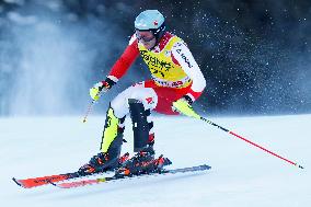 Audi FIS Alpine Ski World Cup - Men's Slalom