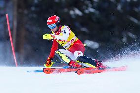 Audi FIS Alpine Ski World Cup - Men's Slalom