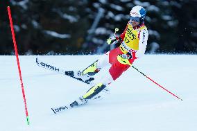 Audi FIS Alpine Ski World Cup - Men's Slalom