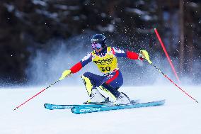 Audi FIS Alpine Ski World Cup - Men's Slalom