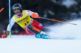 Audi FIS Alpine Ski World Cup - Men's Slalom