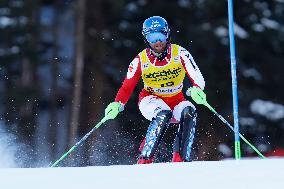 Audi FIS Alpine Ski World Cup - Men's Slalom