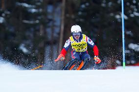 Audi FIS Alpine Ski World Cup - Men's Slalom