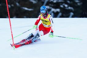 Audi FIS Alpine Ski World Cup - Men's Slalom