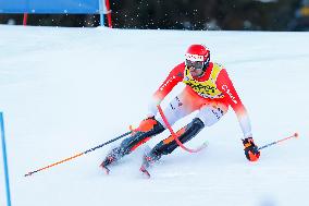 Audi FIS Alpine Ski World Cup - Men's Slalom