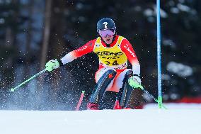 Audi FIS Alpine Ski World Cup - Men's Slalom