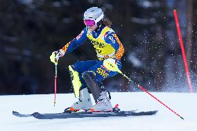 Audi FIS Alpine Ski World Cup - Men's Slalom