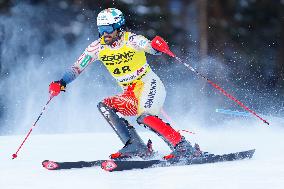 Audi FIS Alpine Ski World Cup - Men's Slalom