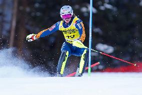 Audi FIS Alpine Ski World Cup - Men's Slalom