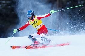 Audi FIS Alpine Ski World Cup - Men's Slalom