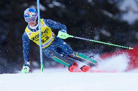 Audi FIS Alpine Ski World Cup - Men's Slalom