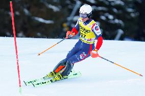 Audi FIS Alpine Ski World Cup - Men's Slalom