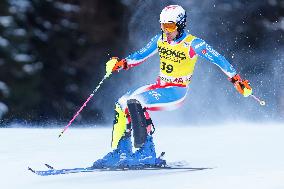 Audi FIS Alpine Ski World Cup - Men's Slalom