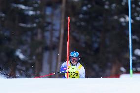 Audi FIS Alpine Ski World Cup - Men's Slalom