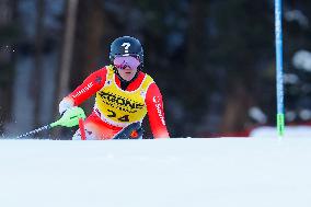 Audi FIS Alpine Ski World Cup - Men's Slalom