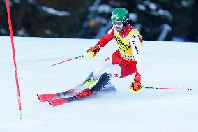 Audi FIS Alpine Ski World Cup - Men's Slalom