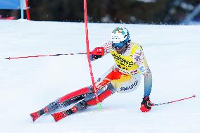 Audi FIS Alpine Ski World Cup - Men's Slalom