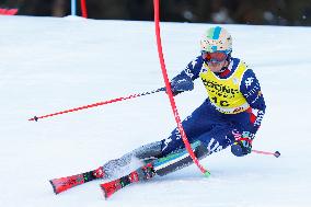 Audi FIS Alpine Ski World Cup - Men's Slalom