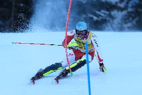 Audi FIS Alpine Ski World Cup - Men's Slalom