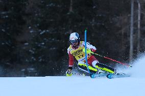 Audi FIS Alpine Ski World Cup - Men's Slalom