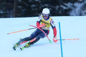 Audi FIS Alpine Ski World Cup - Men's Slalom