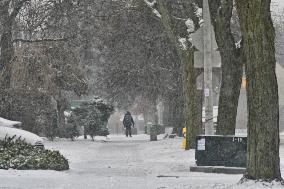 Snowfall Warning Issued For The Greater Toronto Area