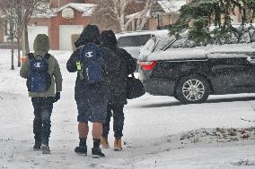 Snowfall Warning Issued For The Greater Toronto Area