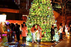 Lights Welcome 2025 New Year in Beijing