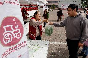 Merchants In Mexico City Are Busy Selling Their Products On Christmas Eve