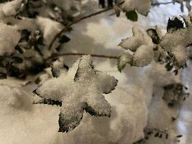 Winter Snowstorm In Toronto, Canada